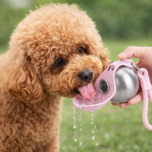 Portable Dog Water Bottle – Keep Your Dog Hydrated Anywhere, Anytime
